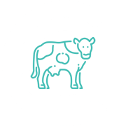 icon farm